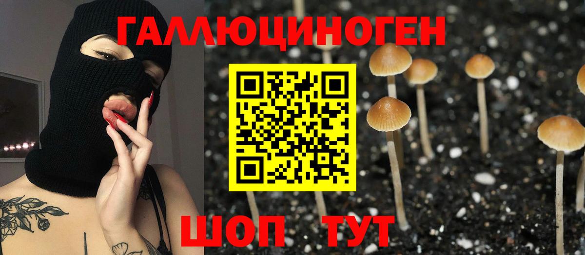 Норильск  Галлюциногенные грибы Psilocybine cubensis  Вход с VPN  Галлюциногенные грибы MAGIC MUSHROOMS 